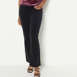 NWT QVC- Candace Cameron Bure Black Corduroy Pants- 18W